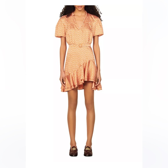 Suzen Asymmetric Ruffle Mini Dress - Picture 1 of 5